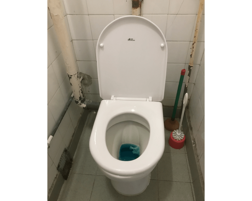 Germ Repellent toilet seat donation event round 2 photo